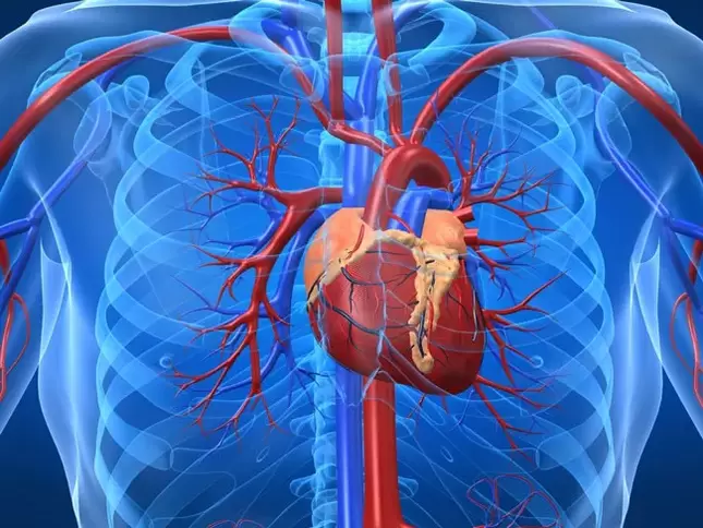 Styrkeøkende øvelser er kontraindisert ved hjertesykdom