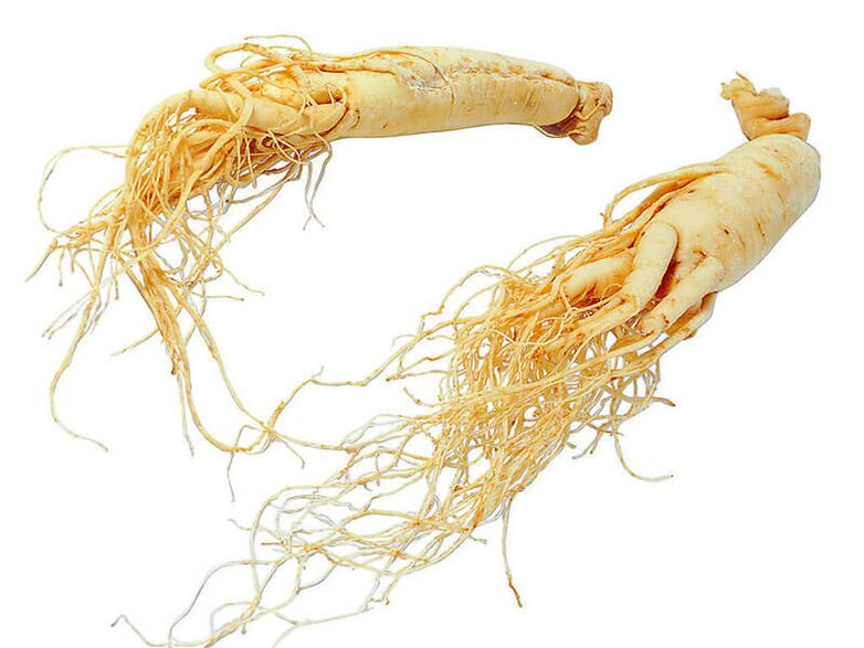 ginseng rot for potens